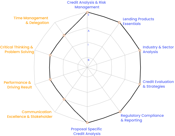 Key Competencies as per BIAE levels in a success profile of an Area Credit Manager | AntWalk Business Capability Platform